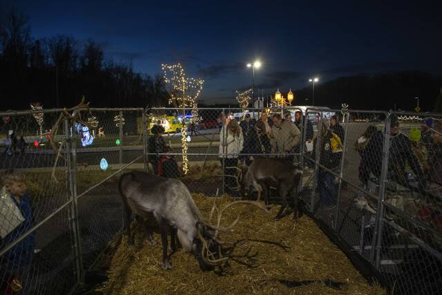 6816612_web1_vnd-plumchristmas1-120123
