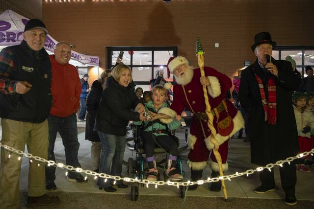 6816612_web1_vnd-plumchristmas4-120123