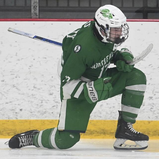 High school roundup for Nov. 30, 2023: Nolan Murphy nets hat trick in South Fayette win