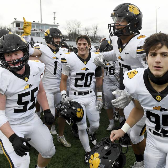 Trib HSSN football team of the week for 2023 Week 14<span class="headline-video">Video <i class="fa-solid fa-circle-play"></i></span>