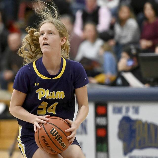 High school roundup for Dec. 4, 2023: Behind 31 points from Megan Marston, Plum wins again