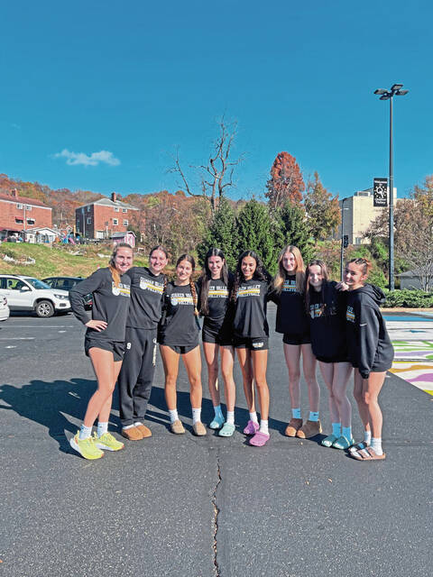 Quaker Valley volleyball players scoop up awards after memorable season