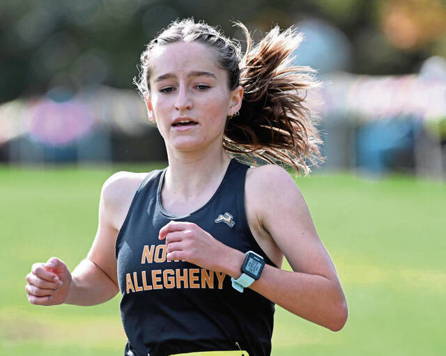 North Allegheny notebook: Tigers cross country takes 5th at nationals
