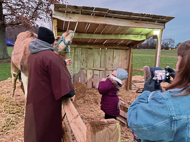 6852704_web1_Lydia-Ambrose-looks-at-Clancy-the-camel-while-her-grandmother-Sharon-Ambrose-takes-a-picture