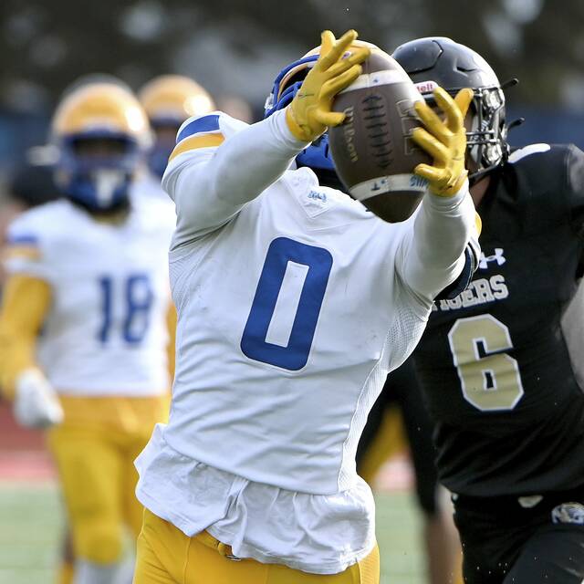 PIAA football playoffs recap: Western Pa. teams finish 2-4 in Mechanicsburg<span class="headline-video">Video <i class="fa-solid fa-circle-play"></i></span>