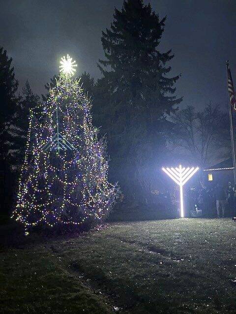 6854440_web1_Light-Up-Fox-Chapel7