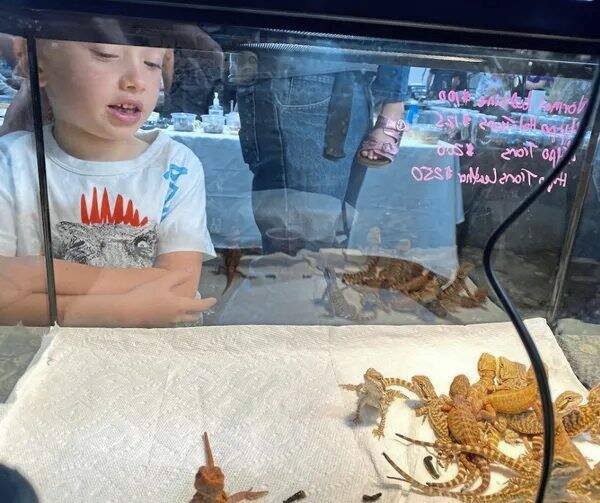 6860116_web1_vnd-reptiles-121423