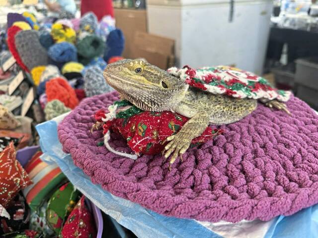 6860116_web1_vnd-reptiles3-121423