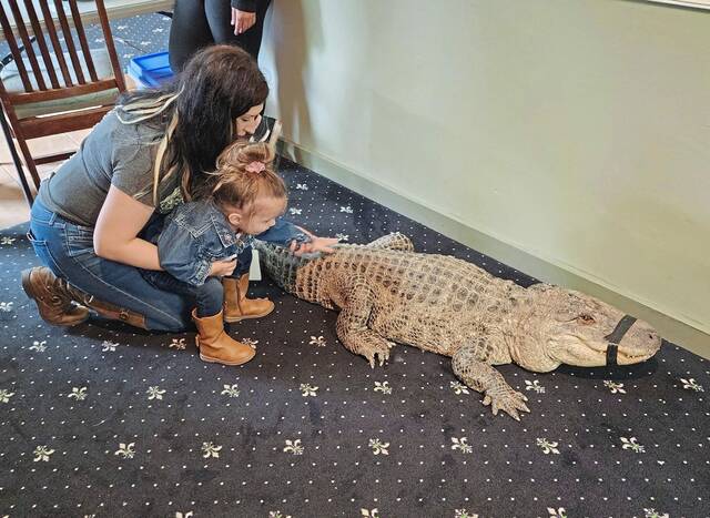 6860116_web1_vnd-reptiles5-121423