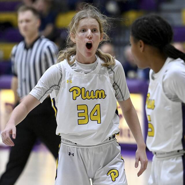 High school roundup for Dec. 18, 2023: Plum girls go to 6-0 with win over Franklin Regional