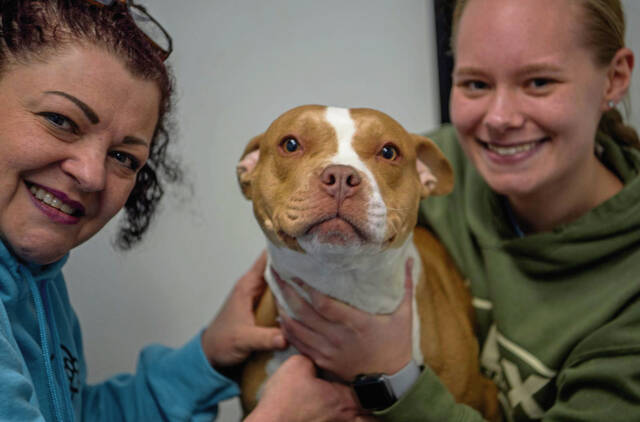 6882393_web1_gtr-PetProblems2-2--122623