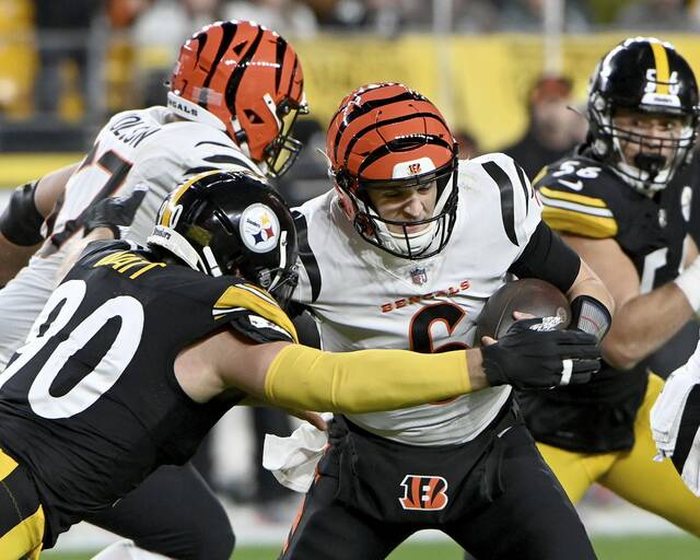 6891084_web1_ptr-SteelersBengals25-122423