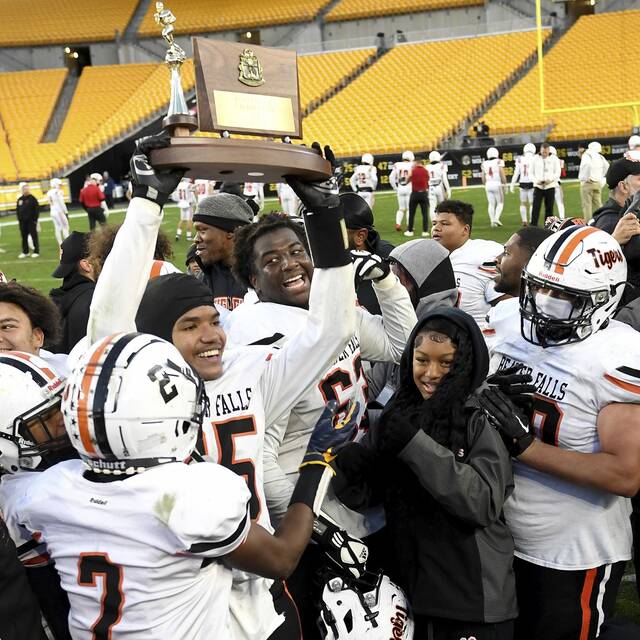 WPIAL teams claimed numerous district, state titles in 2023