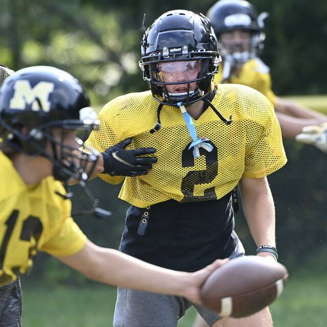 2023 WPIAL All-Conference Football: Tri-County South