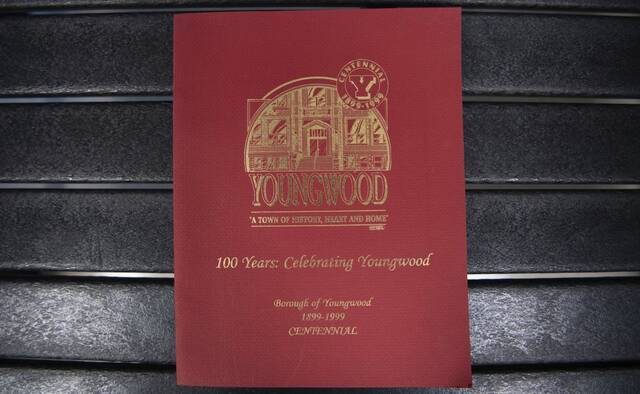 6900407_web1_gtr-youngwood125--2--123123