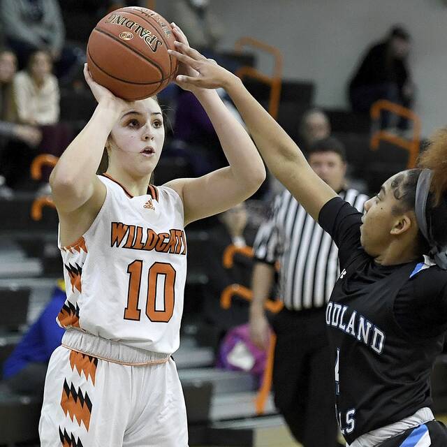 Latrobe girls basketball standout Elle Snyder commits to Evansville