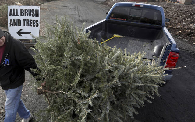6911082_web1_web-XmasTreeRecycle