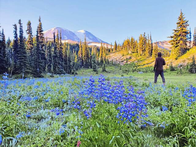 6921482_web1_gtr-TripleCrownHike03-011424