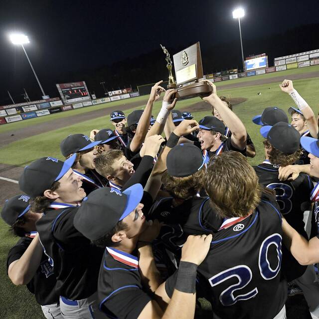Wild Things Park to host WPIAL baseball finals through 2027