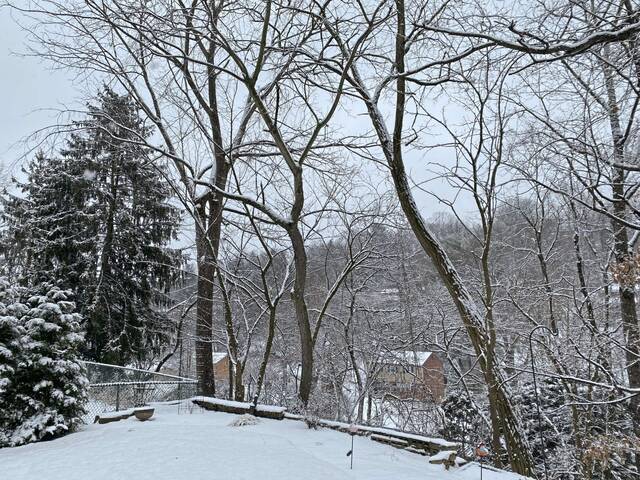 6925068_web1_ptr-SnowBen-010724
