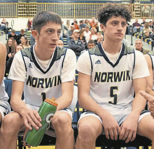 Transfer reunites Bilinsky brothers at Pitt-Johnstown