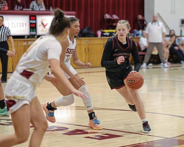 WPIAL girls basketball rankings: Week ending Jan. 14, 2024