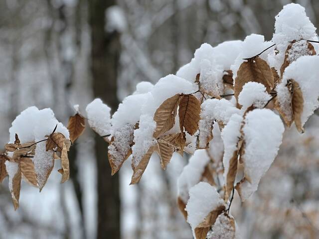 6950159_web1_vep-lo-scenessnow-011424