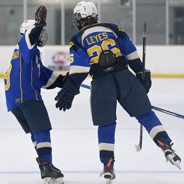 Hampton hockey heads in new direction after midseason coaching change