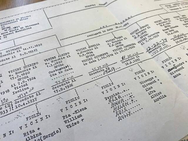 6955996_web1_GTR-Genealogy-1