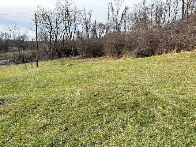 6960878_web1_php-foodforest-012524--1-