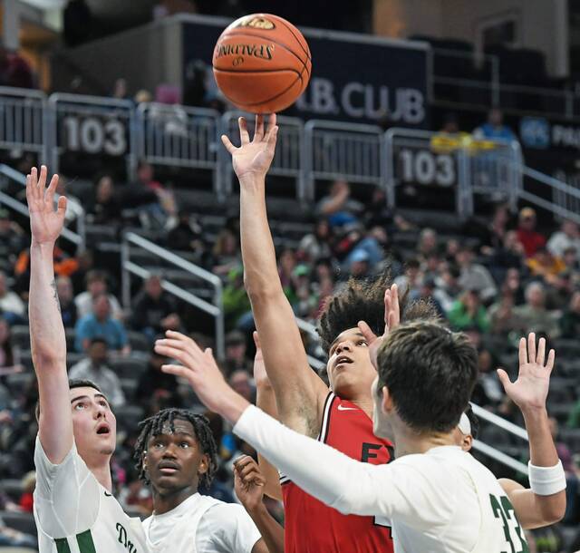 After 4-1 start, Fox Chapel boys take advantage of break in section play