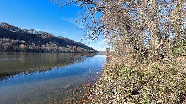 6965785_web1_vnd-RachelCarsonPark