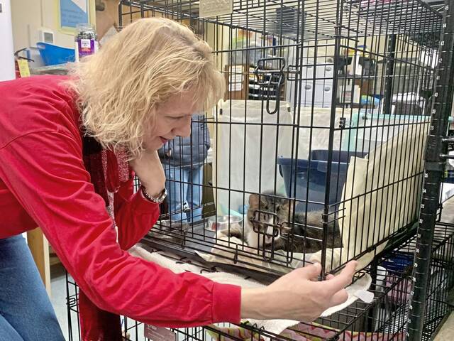 6969198_web1_vep-catrescue-011523