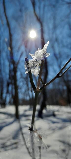 6969198_web1_vep-lo-ScenesSnow2-022824