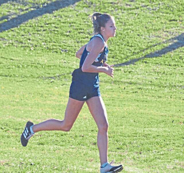 Westmoreland County high school notebook: Norwin runner makes Division I commitment