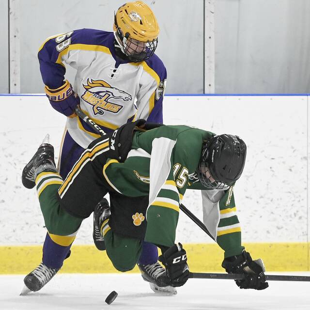 Plum notebook: Mustangs hockey team chasing Class A playoff berth