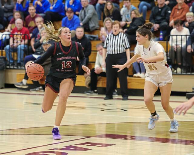 WPIAL girls basketball rankings: Week ending Jan. 28, 2024