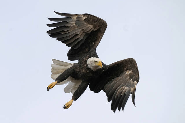 6995556_web1_6865925-9be590f61f2143f494e70e8698f1a38a