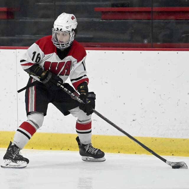 2023-24 PIHL standings through Jan. 28, 2024