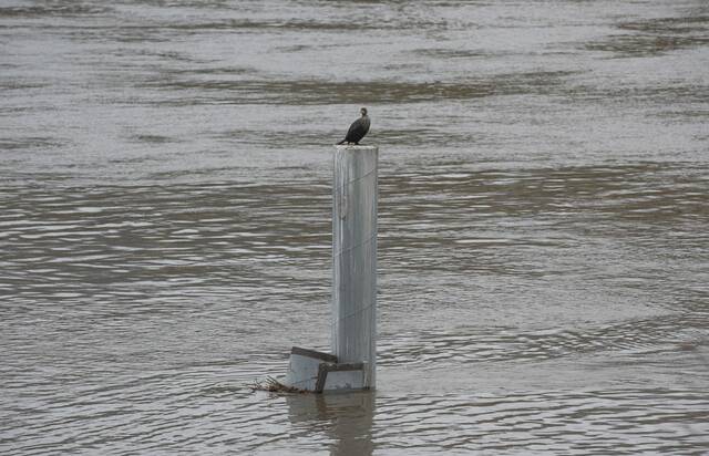 6998558_web1_ptr-Flood2