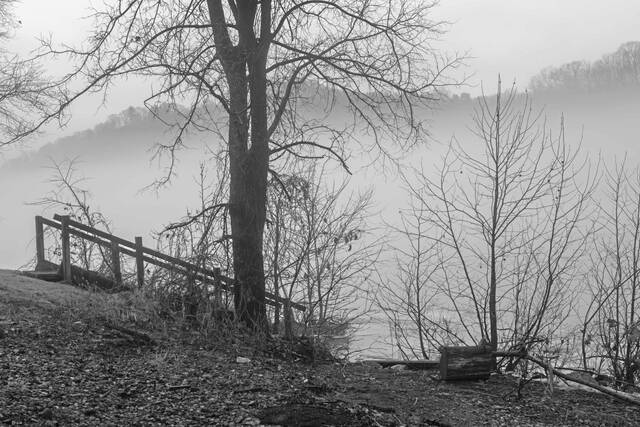 6997788_web1_vep-lo-scenesFog-020424