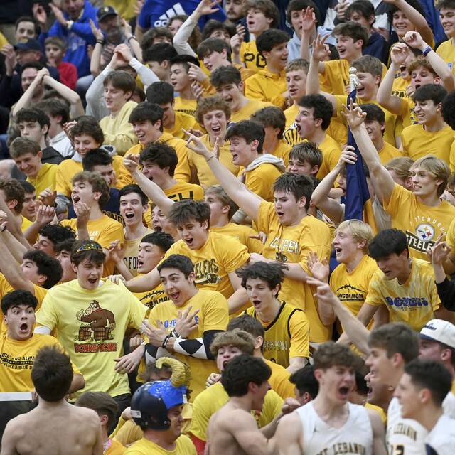 Mt. Lebanon stakes claim in 6A with win over rival Upper St. Clair