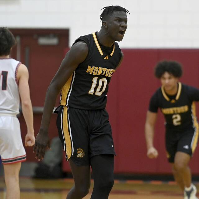 Montour fills highlight reel in section-clinching win over Avonworth