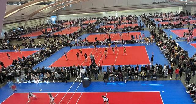 Club volleyball team with WPIAL stars finds immediate chemistry, success