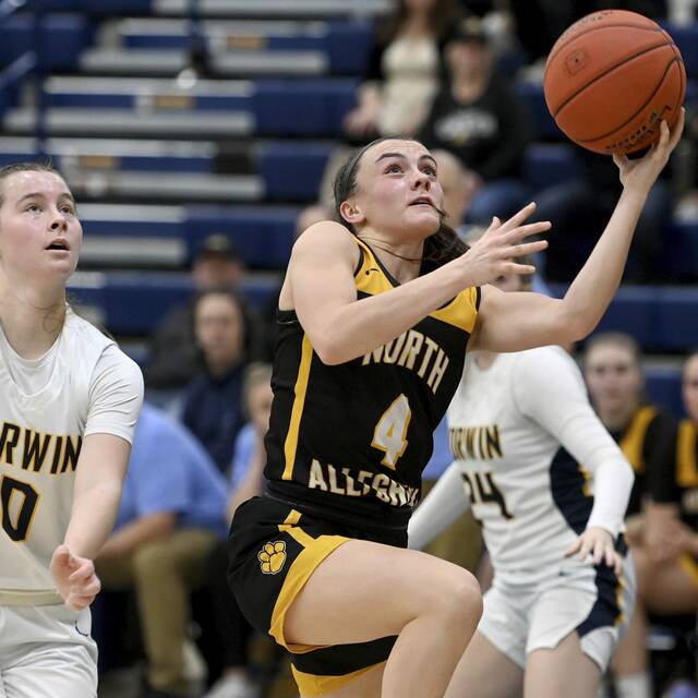 North Allegheny notebook: NA basketball teams turn attention to playoffs