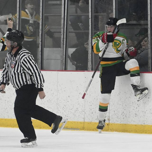 Deer Lakes aims to contend in PIHL Division 2 playoffs