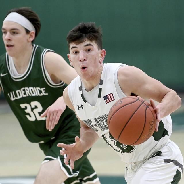 Pine-Richland notebook: Basketball teams set for playoff openers