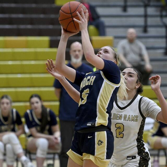 Alle-Kiski Valley high school basketball playoff preview capsules for Feb. 20, 2024