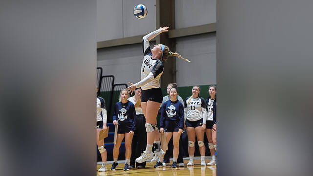 Hockey, volleyball teams headline Baldwin sports hall of fame Class of 2024