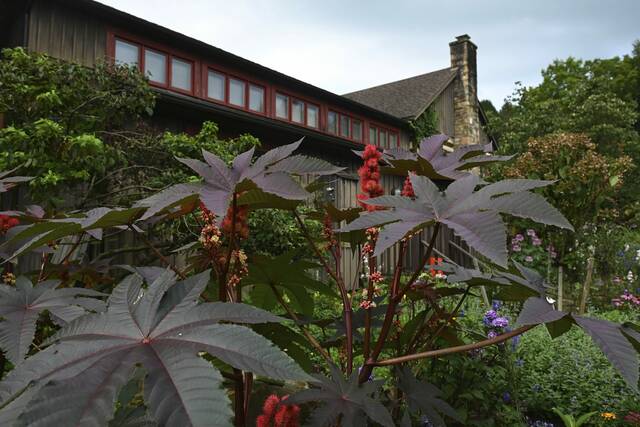 7074169_web1_gtr-LigGardens006-081023-001